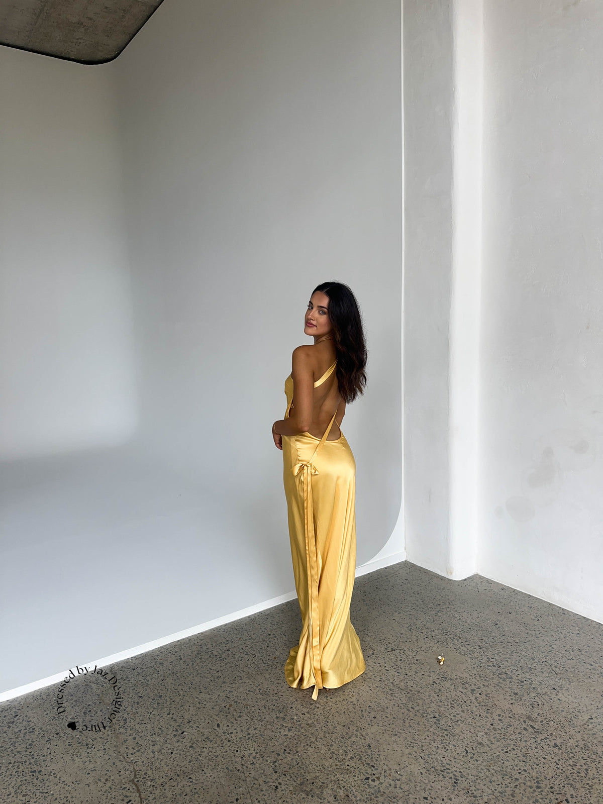 Arcina Ori Monique Dress – Dressed by Jaz